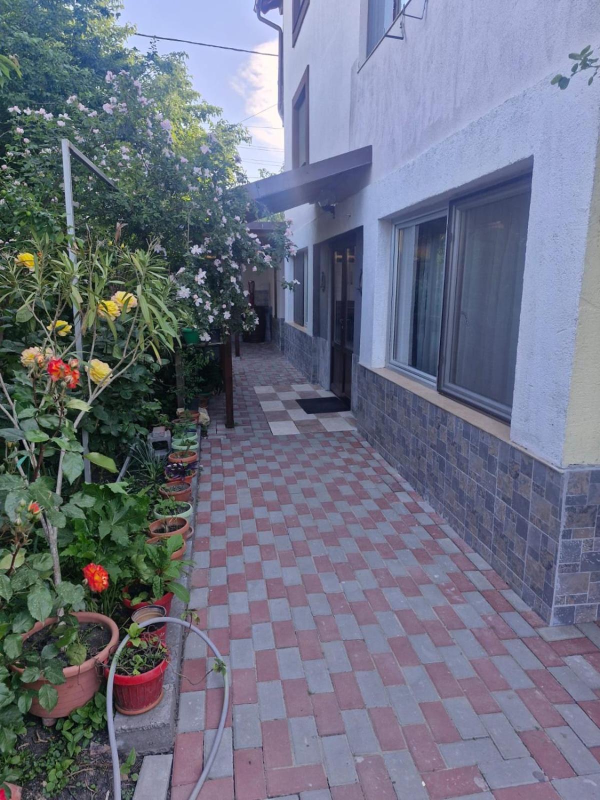 Casa Donau Delta Hotel Sulina Exterior photo